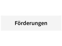 Förderung BAFA BEG EM